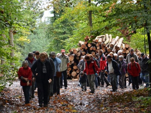 Frreuen Sie sich schon heute auf die 8. Taubertäler Wandertage. Am 11. Oktober 2014 wandern wir rund um Wessental.