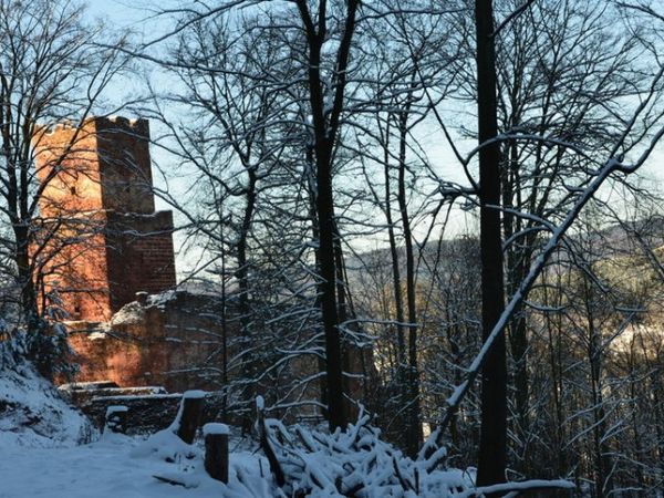 ein herrlicher Spaziergang auf dem verschneiten Weg zur Freudenburg - so schön kann der Winter in Freudenberg sein