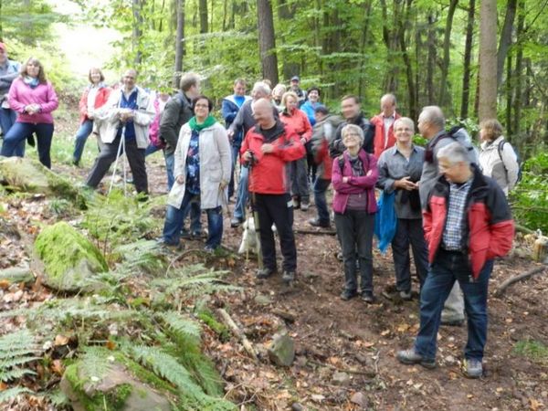 4o Teilnehmer der "Taubertäler Wandertage" genossen am 13.Oktober bei herrlichem Wetter einen Samstag im Zeichen des Waldes und der Freudenburg.