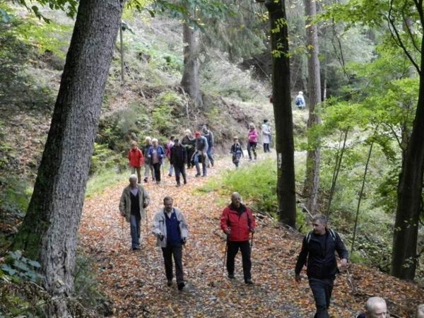4o Teilnehmer der "Taubertäler Wandertage" genossen am 13.Oktober bei herrlichem Wetter einen Samstag im Zeichen des Waldes und der Freudenburg.